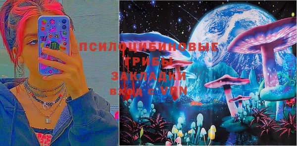 гидропоника Аркадак